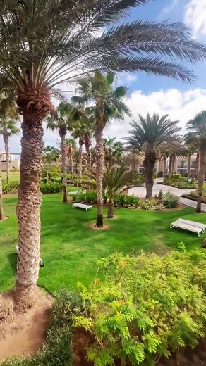 Welcome to ROBINSON Cabo Verde, an adults-only retreat on the golden shores of Sal. Here, you can do everything… or absolutely nothing... Wake with the ocean. Wander barefoot along endless beaches. Unwind in warm, quiet spaces designed for stillness and serenity. #CapeVerde #ROBINSONCaboVerde #Travel #AdultsOnly | Cape Verde Experience