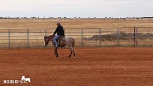 Versatility Ranch Horse host Robert Rivers works on lope departures with a cow horse prospect. www.horsepro.tv 𝐴 ℎ𝑜𝑚𝑒 𝑓𝑜𝑟 𝑝𝑒𝑜𝑝𝑙𝑒 𝑤ℎ𝑜 𝑙𝑜𝑣𝑒 𝑡ℎ𝑒 𝑤𝑒𝑠𝑡𝑒𝑟𝑛 𝑤𝑎𝑦 𝑜𝑓 𝑙𝑖𝑓𝑒, 𝑏𝑢𝑖𝑙𝑡 𝑜𝑛 ℎ𝑜𝑛𝑒𝑠𝑡𝑦 𝑎𝑛𝑑 𝑐𝑎𝑚𝑎𝑟𝑎𝑑𝑒𝑟𝑖𝑒 | HORSEpro.tv
