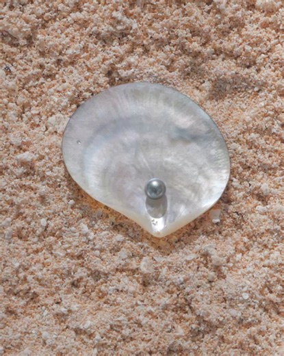POV: you go snorkeling at Le Tikehau. Learn more about Le Tikehau activities: bit.ly/le-tikehau-activities Video by Exotic Gardens #PearlResortsmemories #LeTikehaubyPearlResorts #Activities Relais & Châteaux | Le Tikehau by Pearl Resorts