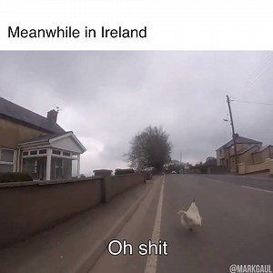 74K views · 342 reactions | Stay safe out there guys  : Mark Gaul | Cycling Pulse | Facebook