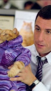 1K views · 5.5K reactions | Adam Sandler, Kevin Nealon and Lynne Thigpen in “Anger Management” (2003), directed by Peter Segal. #angermanagement #adamsandler #kevinnealon #dontgetangrygeteven #guilty #notguilty #snobmedia | Snob Media | Facebook