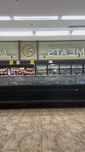 How I like to shop for groceries (as an adult) 😂 anyone else do this ? #holidayshopping #pittsburgh #adventures | Lexa Terrestrial