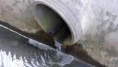 waste water flow to sewer with moss, bad water from city, water...