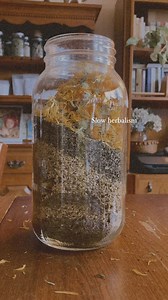 Herbal infused oil is slow herbalism at its finest. Herbs slowly infusing in oil for several weeks or more makes for a ultra potent herbal body oil to use as is or infuse into other preparations like salves, butters, creams, ointments and balms. This is the beginning of a fresh batch of my super luscious and skin healing Earth Butter! 🌏 #slowherbalism #earthbutter #herbalinfusedoil #herbalbodyoiling #bodybutter #skinhealing #herbalmedicine #naturalremedies #botanicalskincare #herbalinfused #nat