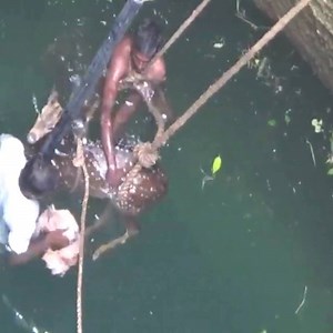 Deer falls in 30ft deep well, gets rescued after marathon operation! 😱🦌 | Inventions & Creations