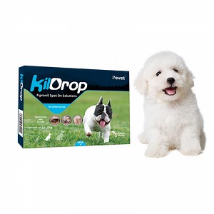 [Hot Item] Vet-Recommended Pet Dewormer Fipronil for Dogs 10kg to 20kg