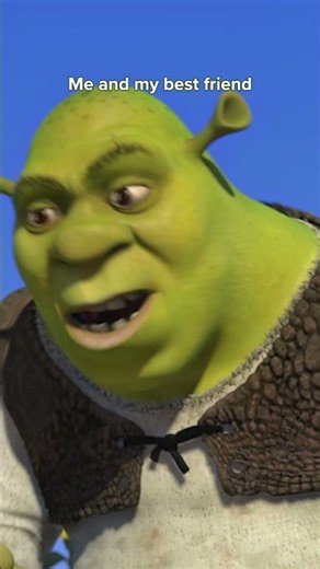 Chaotic Besties for Life | SHREK