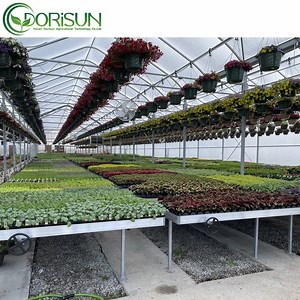 [Hot Item] ABS Flood Table Plastic Hydroponics System Nursery Agriculture 4X8 Flood Ebb and Flow Grow Table