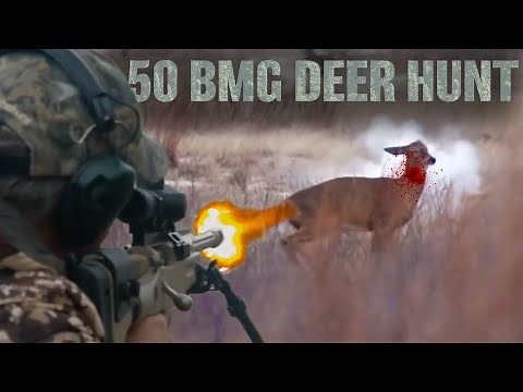 .50 BMG Versus Whitetail Deer Hunting