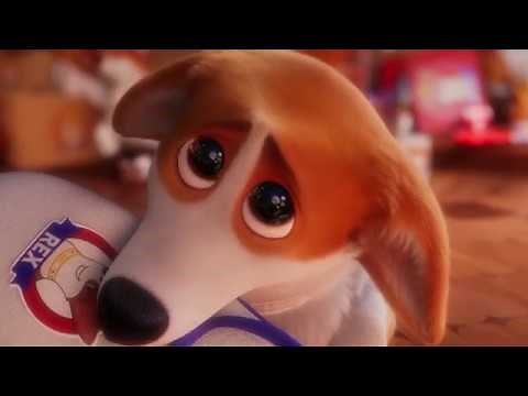 Psie veličenstvo - SK trailer