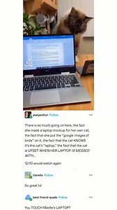 3.1M views · 81K reactions | #tumblr #tumblestones | Adult side of Tumblr. | Facebook