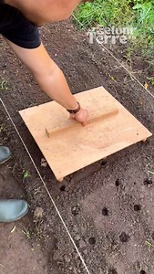 56K views · 253 reactions |  Le semoir à ail fait maison avec… des...