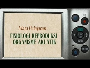 Organisme Akuatik: Fisiologi & Reproduksinya | Materi UTS