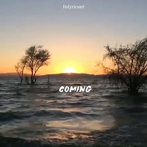 I'm coming home - Skylar Grey | Lyrics Art