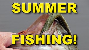 Summer Senko Fishing