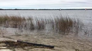 2.1K views · 76 reactions | Sights and sounds this morning from the Carolina Beach State Park 01/03/2018 | Carolina Beach Today | Facebook