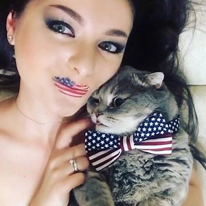 8.7K views | Happy 4th of July, kittens! #independenceday #4thofjuly | Animalistic | Facebook