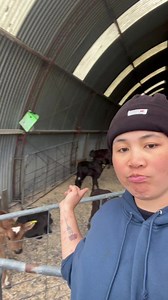 134K views · 10K reactions | BALIK SA TRABAHO #allaboutjenn #pinaysanewzealand #suman #TagumTagumpay #magbabaka #buhayfarmer #OFW #backtowork | All about Jenn | Facebook