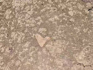 2.3K views · 60 reactions | The Craving for Wholeness That Drives Our...