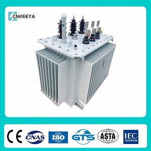 [Hot Item] Cnkeeya Outdoor Using Oil Immersed Three Phase Distribution Transformer Pole-Mounted Transformer