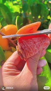 鲜家林 Xian Jia Lin on Reels | Facebook