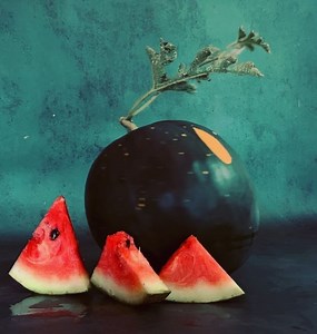 Baker Creek Heirloom Seeds on Instagram: "Originally known as the sun, moon and stars! The Moon and Stars watermelon is a galactic favorite, and it is a treasure of the cosmos."