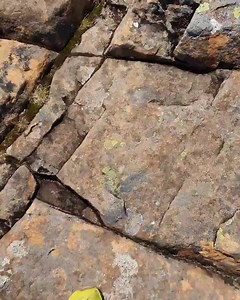 It’s a magical view from the summit of Cradle Mountain ⛰ If you crave to experience the solitude, the isolation and the raw beauty of a wild ancient land – then you have found it at Tasmania’s World heritage Listed Cradle Mountain-Lake St Clair National Park. The Cradle Mountain wilderness undoubtedly offers the best walking tracks in Tasmania - some would say even the World. In fact, this very special corner of Tasmania’s western wilderness is listed as a World Heritage Area that means, above a