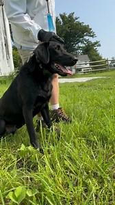 4.2K views · 106 reactions | Where have we been? Training! I have...