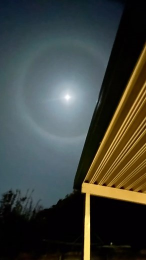 Bush Tucker Bunjie on Reels