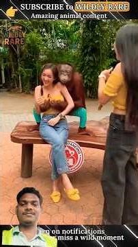 17 AMAZING Animal Clips you MUST See! WILDLY RARE #animals #animalshorts #animalclips