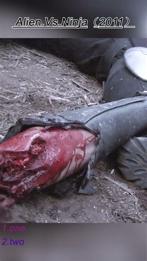 Alien.Vs.Ninja (2011)