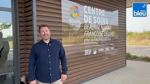 C’est tout nouveau, désormais le Zoo de Beauval propose depuis avril dernier le Centre de Soins Beauval Nature - Françoise Delord pour la faune locale. Nous vous emmenons dans les coulisses en compagnie de Marion Jalenques vétérinaire. | ici Orléans