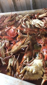HOT BOILED CRABS ALL DAY!! | Slidell Seafood