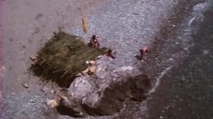 01-the genesis children