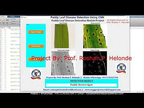 Paddy Leaf Disease Detection Using CNN Machine Learning | Paddy Plant Disease Detection Using Matlab