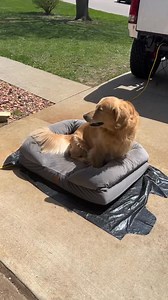 CboysTV Wrapped Pit Bike tire tube replacement | Caswell Customs | Facebook