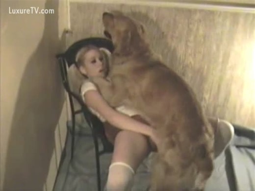 Incredible fresh-faced eighteen year old blonde girl in pigtails being fucked by an animal