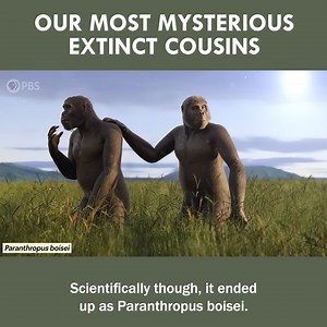 Our Most Mysterious Extinct Cousins | Eons • PBS