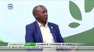 Dr. Paul Matiku, Executive Director at Nature Kenya: The high Grand Falls dam can have the desired impact, but for the dam to have the desired impact, which are not about terminating the livelihoods of communities downstream. Host: @peterwakaba Producer: @paultmv #FarmKenya #ChekiKTN | KTN Home