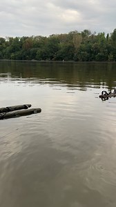 4.4K views · 83 reactions | Noi asa ne-am inceput weekendul 路‍♂️ Voi? | Fox International | Facebook