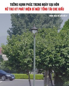 73K views · 2.9K reactions | Tập 309: Tưởng hạnh phúc trong ngày đại hôn, nữ thư ký phát hiện bí mật tổng tài che giấu (Còn tiếp) -------------- Phim: Mùa Hè Của Hồ Ly | Đón xem hằng ngày trên page Đại Tiểu Thư | ©️ Bản quyền khai thác nội dung thuộc về Đại Tiểu Thư #ROSEMHCHL #phimtrungquoc #phimhay #phimngontinh | Đại Tiểu Thư | Facebook