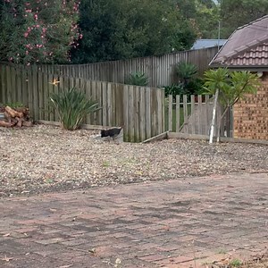 Imogen Clark on Reels | Facebook