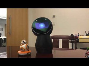 Jibo robot arrives at Vital A.I.