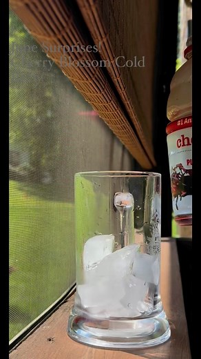 #maryvilletennessee #MaryvilleTN #mobilecoffee #locallyownedandoperated #townsendtn #mobilecoffeeshop #shoplocal #maryville #mobilecoffeetrailer #shopmaryville #ShopSmall #knoxvilletennessee #maryvilletennessee #smallbusinessbigdreams #coffeetime #maryvillefarmersmarket #kcroastersofmaryville | Brew Ha Ha