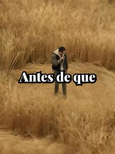 👽 Señales y El Día de la Revelación comparten una idea central: cómo cambia nuestra percepción cuando descubrimos que los acontecimientos tienen un significado más profundo de lo que parecía al principio. #Señales #ElDiaDeLaRevelacion #CineFilosofico