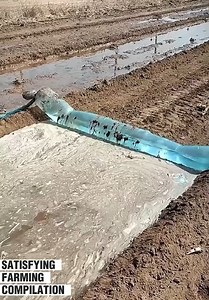 282K views · 435 reactions | Oddly satisfying farming compilation 六‍ | Pretty Hairstyles | Facebook