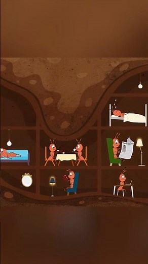 Inside an Ant Colony 😨