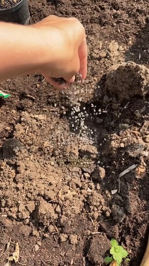 Laura Farming on Reels