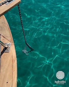 3.8K views · 43 reactions | One boat tour around Afitos… so many blissful memories! Watch the video! Image credits: @anatoli.halkidiki #Halkidiki #VisitGreece #Kassandra #afitos | Halkidiki | Facebook