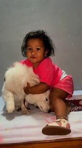 36K views · 1.8K reactions | Coco Emma ko love 殺 | Bhaujuskokitchen | Facebook